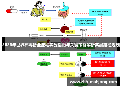 2026年世界杯筹备全流程实战指南与关键策略解析实操路径规划