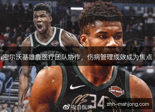 密尔沃基雄鹿医疗团队协作，伤病管理成效成为焦点